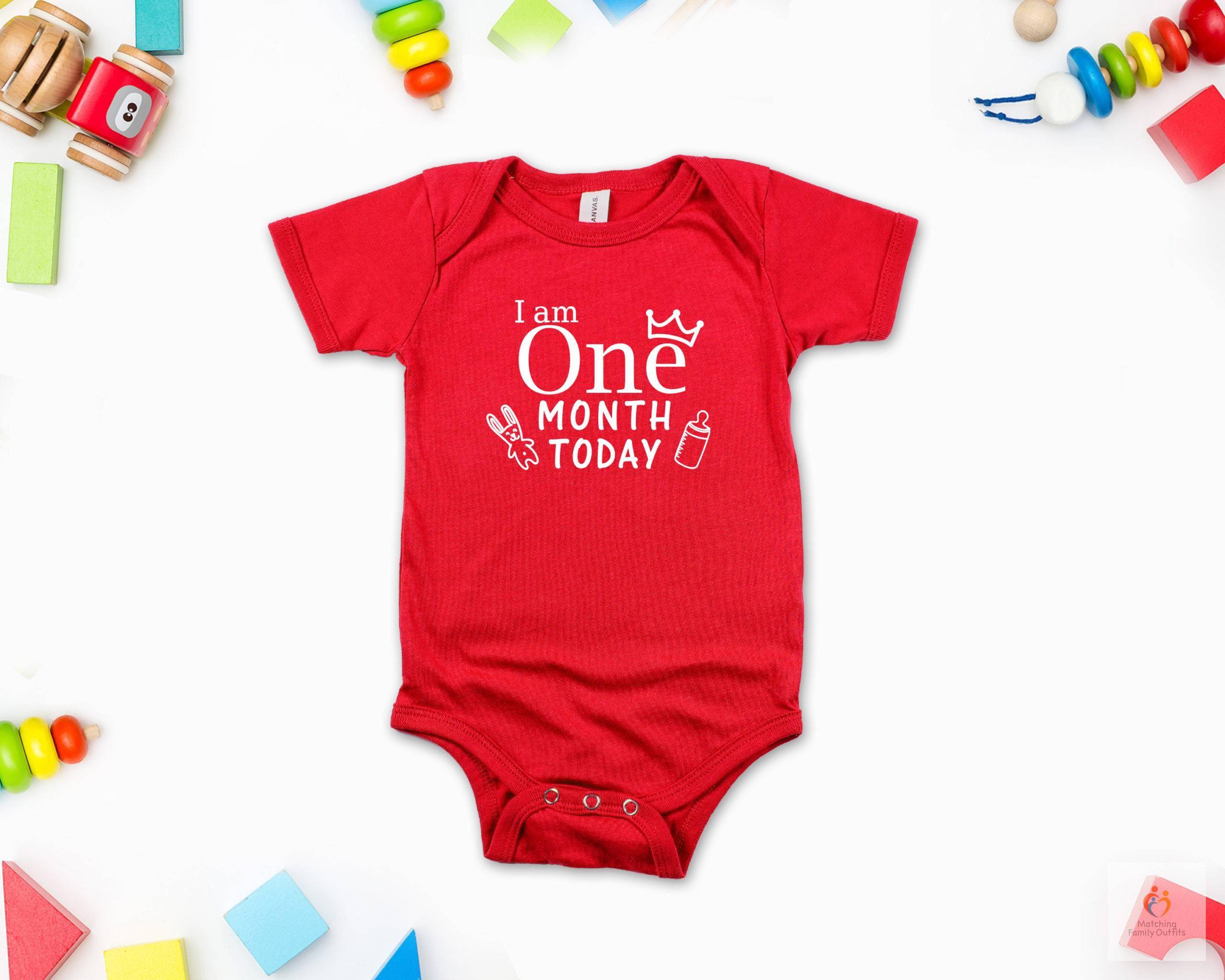 Milestone Monthly Birthday 8211 Individual Rompers Birthday Party T shirts Newborn Baby Gifts a61dc102c047f8682bf539 1 Y 10