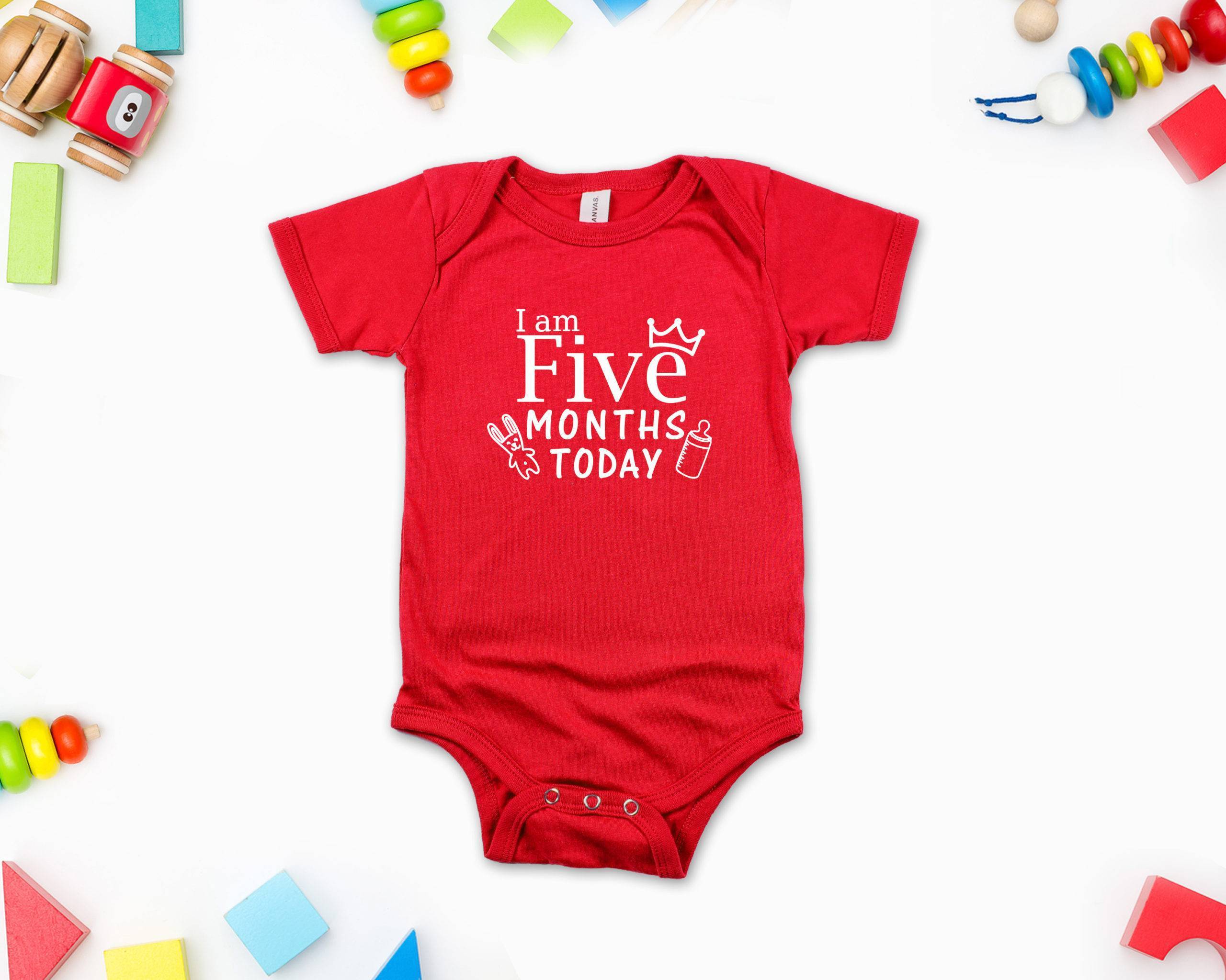 Milestone Monthly Birthday 8211 Individual Rompers Birthday Party T shirts Newborn Baby Gifts a61dc102c047f8682bf539 1 Y 24