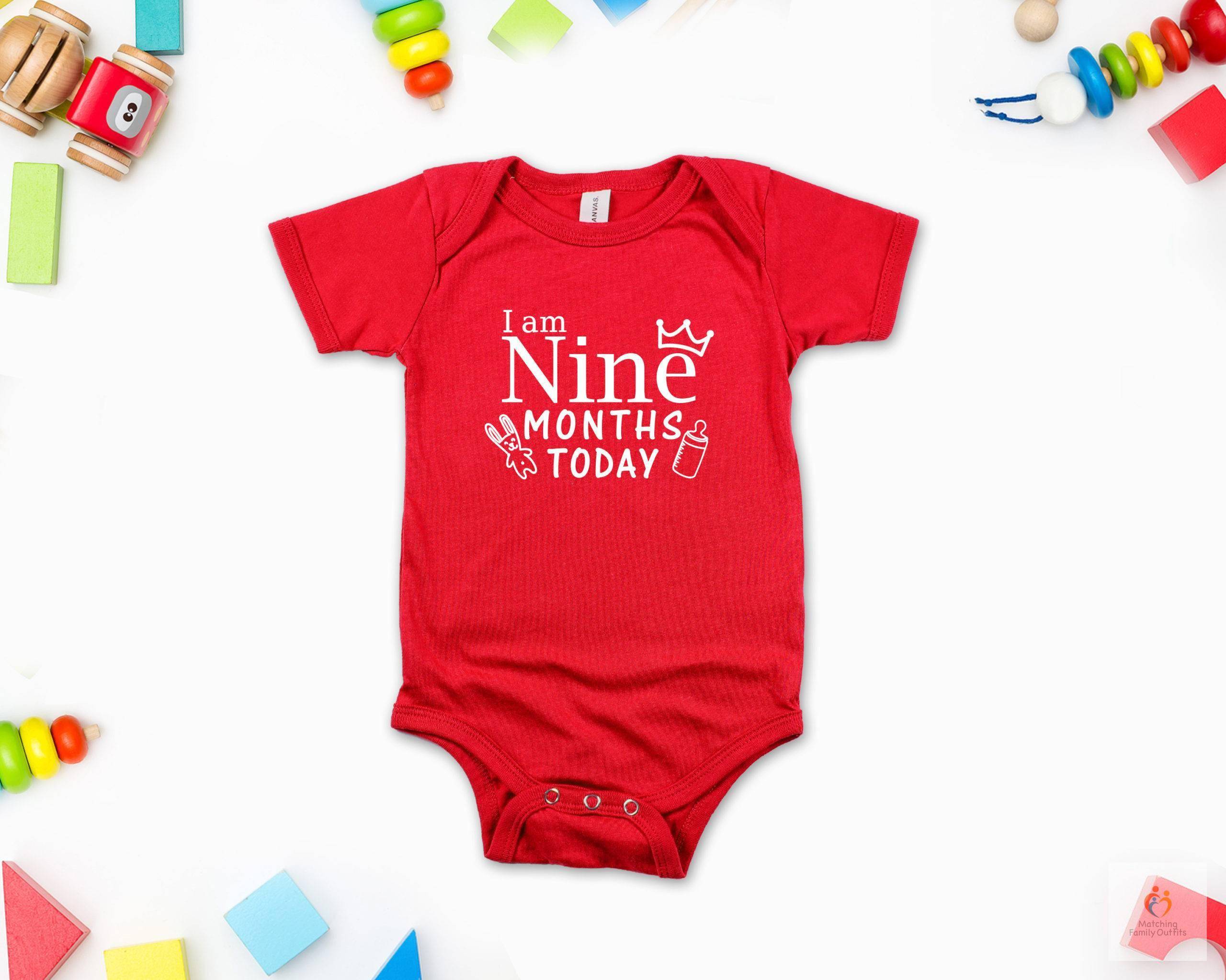 Milestone Monthly Birthday 8211 Individual Rompers Birthday Party T shirts Newborn Baby Gifts a61dc102c047f8682bf539 1 Y 7